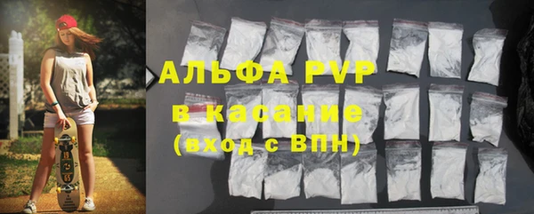 сатива Инсар
