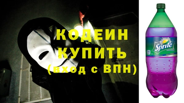 сатива Инсар
