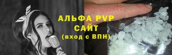 тгк Каменногорск