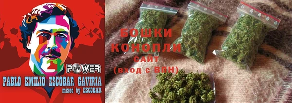сатива Инсар