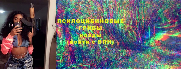 тгк Каменногорск